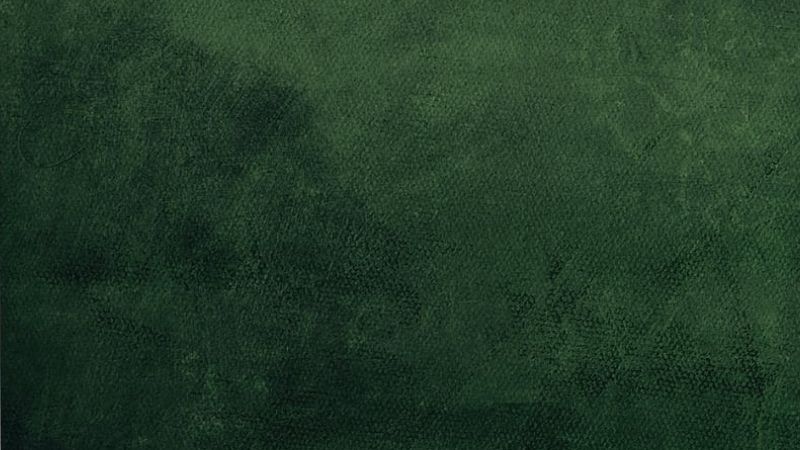Toile de fond vert